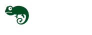 Natural life Experience